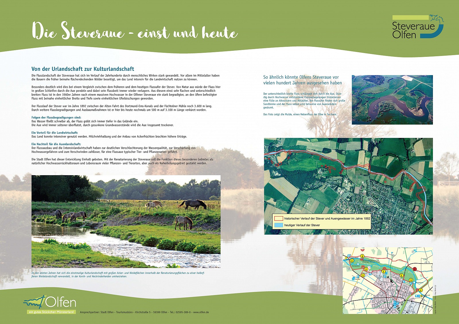 Infotafel Birkenallee