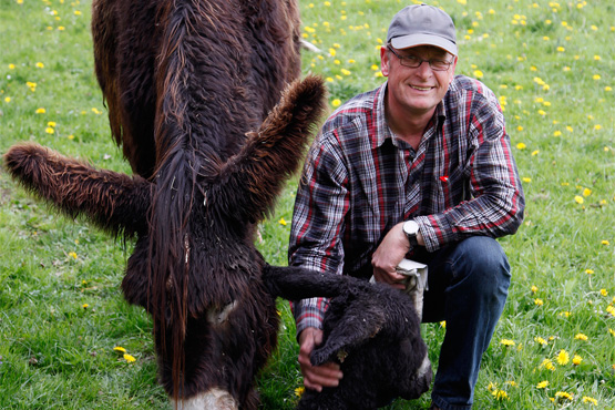 Norbert Niewind ist zuständig für den Tierverkauf (Foto: WK für Stadt Olfen)